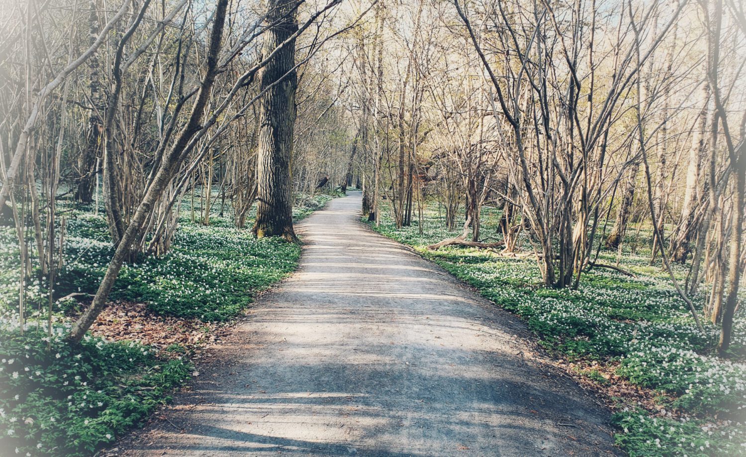 I harmoni med din biokemi och biologi